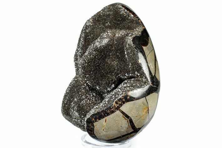 Septarian Dragon Egg Geode - Sparkly Black Crystals #308809